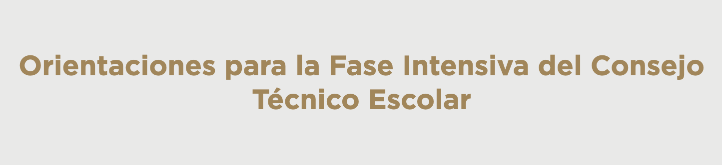 Orientaciones para la Fase Intensiva del Consejo Técnico Escolar